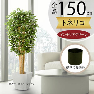 tFCNO[ ^  lC A  glR V}glR CeAO[  lHϗtA lH A[gO[ IuWF 傫 傫  rO It