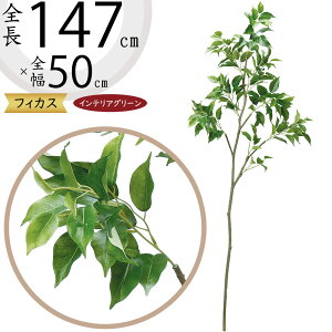 tFCNO[ ^  lC CeAO[ xW~ tBJX A lHϗtA  lH A[gvc A[gO[ xW~i t[AW