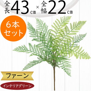 ^}V_ tFCNO[  CeAO[ A lHϗtA ϗtA  A[eBtBVt[ t ԍ ʃV_ ltsX t[AWg fBXv