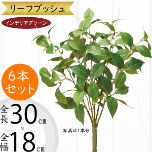 tFCNO[  lC CeAO[ A lHϗtA  lH A[gvc A[gO[ ϗtA ChAO[ CeA IuWF  ԍ t 