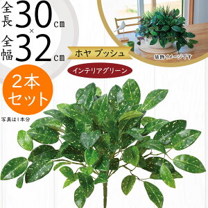 tFCNO[  lC CeAO[ A lHϗtA  lH A[gvc A[gO[ ϗtA ChAO[ CeA IuWF  ԍ t 