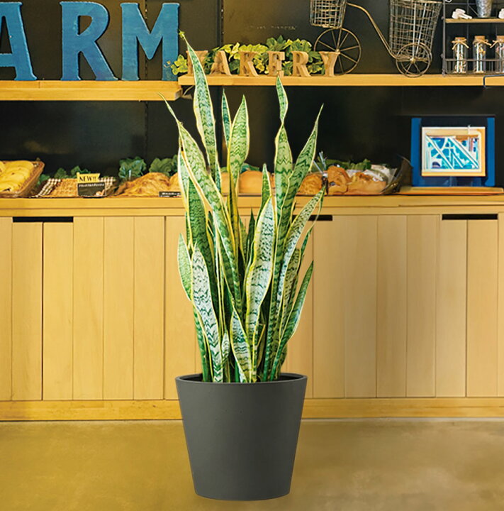 楽天市場】プランターカバー 鉢カバー おしゃれ 大型 人気 観葉植物  