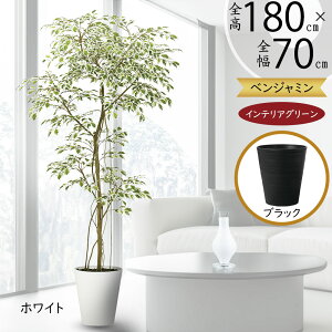 tFCNO[ ^  xW~ tBJX xW~i  ϗtA A lC  CeAO[ lHϗtA   CeA A[gO[  {