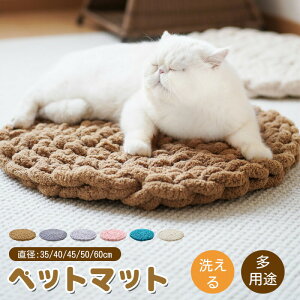 `ybgp}bg`FApbh}bgFtANbVzckۂ҂݃NbV`FA}bg֎qpzcV[gNbVcarOQݑΖ