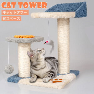 Lbg^[ȃXy[Xu^^Lp܂Ƃ|[L^[lR|[^s߂ƂVRRϋvgȒPx~jL^[Q^[ႢVяꂨႩ킢