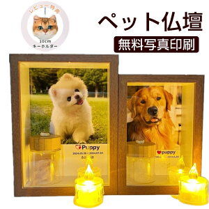 ybgdʐ^ĂI[_[ybgpdZbg{ʐ^ybgʔvXCѓ⍜ꂨݖؐAObYLOiLI[_[L{Q肨