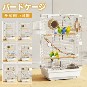 ^IEEo[hP[W^CRpP[WybgP[WpďƂ肩꒹X^hCRZLZCCRCeA傫S^piJSƂ