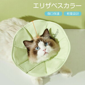 GUxXJ[Lybg\tg^Cv\tgpi_炩炩p㋎rߖh~یyʏی쑫rߏr߈h~pPKaCQ鎞^ybgpi