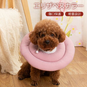 GUxXJ[Lybgh[ic\tg^Cv\tgpi_炩炩p㋎rߖh~یyʏی쑫rߏr߈h~pPKaCQ鎞^