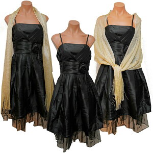 1Zbgt{aCp[eB[hX~h~fBA䃏s[XhX傫ȃRT[WS[hXg[thXmubN񎟉IЌ_XEFA9