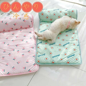 ybgxbgN[}bgĂЂp}bgL^^^LpybgV[gpڐG⊴~ߔMǑ΍xbh