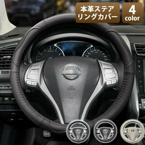 nhJo[yԖ{vSTCYԕʎԂO^38cmXeAOJo[vXYLz_g^Y}c__Cnc