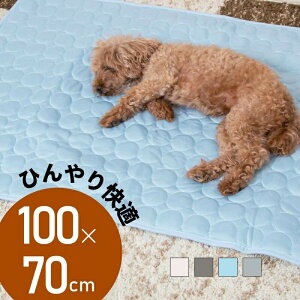 Ђ}bg⊴~pbhXLTCYp^^^Lp⊴ЂN[V[gOV[c􂦂ėp