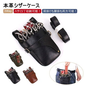 VU[P[Xetg}[ԉy{v5U[xg^уVU[obOVU[|[`^ё@\eʂIVYfB[Y{Tet