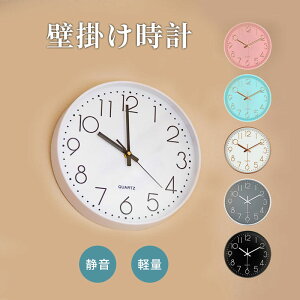 Ǌ|vkÉ^̃EH[NbN₷ybjȂIVȂ_Q30cm