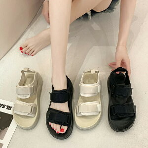 _uxgT_X|TV[Yr[`T_fB[X傫TCY₷ɂȂ}WbNe[v؂T_₷ȂKrJWA킢