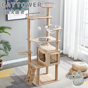 Lbg^[uX^LLbg^[^^nbNtꂩ킢܂Ƃ^s˂܂Ƃ܌RqLVjAȃXy[X̓