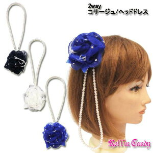 p[`F[tXg[KNwbhhX/wAs/wANbvwAANZT[RT[Wu[`ubNzCgu[ߑl\awƎEFfB