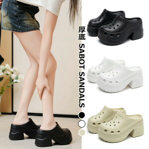 NbOT_fB[XEVAT_T{rryʃRtH[gT_{[T_10cmq[킢ʋCNbV_炩₷ubNz