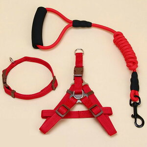 [6mm]n[lXꌢn[lX킢n[lX֌̃n[lXn[lXiCyʌn[lXꂩ킢ybgpiVvn[lXpn[lX[ht