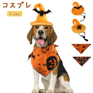 nEBybgpybgL2_ZbgnEBRXvS[Xg}WbNLRXvLRX`[RXvߑybgL낢^^