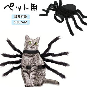 nEBRXvybgpybgLXpC_[nEBw偂ʂ݉LRXvLRX`[RXvߑybgL낢^