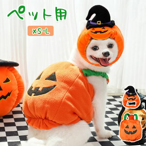 ybgpybgL2_ZbgnEBRXvS[XgLRXvLRX`[RXvߑybgL낢^^cosplayn