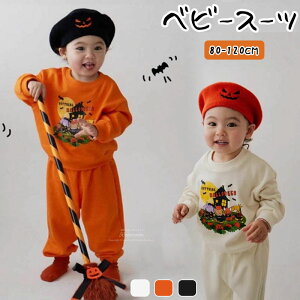 nEBqX[cڂXqxr[2_ZbgX[cq̎qj̎qڂϑp[eB[ZbgAbvH~tH㉺ZbgqW[Wj̎qJWA݉