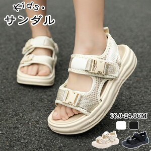 T_LbYWjAj̎q̎q₷qCV[Yꗚ₷JWAnTɂwpVђʊwr[`V[YqǂANAV[