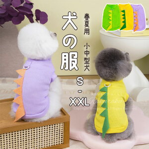 tĐڐG⊴p[Xybg̕TVc^NgbvtėpʋCX|[cEFA^phbOEFA