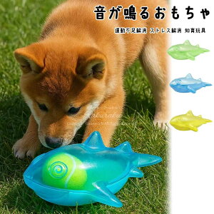 ኚމ邨ጢp?łɂT`j[NȃfUC􂦂SfޖŃ{[tϋv^^ɑΉpނ^sXgX