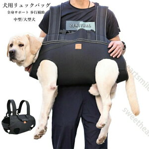 p@\bNobOn[lXxXgn[lXhCuxXgn[lXybgppiV`pgC̕⏕nrQT|[g[hUppoRs