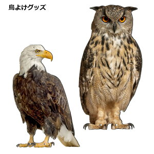 悯ObYtNEӂ낤Ƃ悯x_t΍ObY