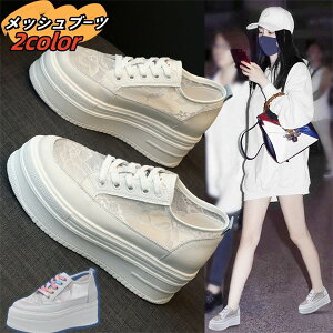 bVV[YV؍ʋC_bhXj[J[fB[XrꓧJWAx6lc