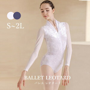 oGI^[hlCvlbgVv؍lpߑnoGpiballetpiKop킢tďH_XV̑EFARX`[JtzCgp[v