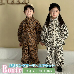 qEX|[cEFALbY|[[t[XZx[WZbgAbvWPbg̎qj̎qOpctH㉺ZbggbvX{gXWjAw