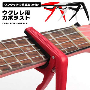 ENJ|^XgJ|^b`ENpANZT[ߎOȒP҂舟vRpNg