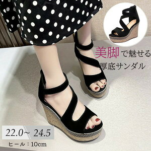 T_fB[XăEGbW\[Xgbv₷ɂȂItBXT_ɂ傫TCYq[10cmryʌyT_dUo22.022.523.0