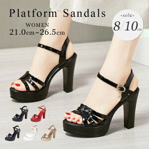 T_`L[q[T_fB[XƂq[T_ANXgbvq[xg傫TCYXg[q[10cm/8cmTCYubNzCgb