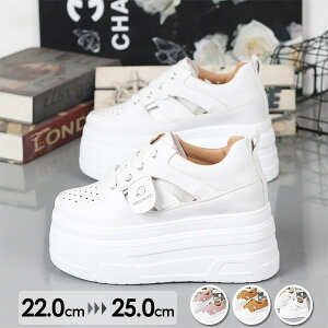 Xj[J[ȂgAbvnCJbgXj[J[fB[XꓧrVv҂ݏグʋΌC킢₷Sn悭ym5f6