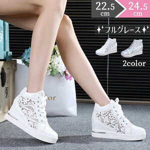 22.5`24.5Cq[Xj[J[q[7cmʋC[XfB[Xq[ꔒCJWAV[Y҂ݏグCwyg5