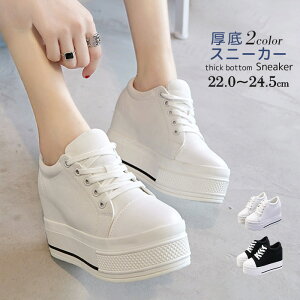 Xj[J[fB[XCV[YCq[L[XAbvXj[J[Xj[J[V[Y\[r킢JWA₷q[