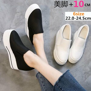 Xj[J[fB[XCq[ꔒzCgV[YJWAɂꍕubNr22.0/22.5/23/23.5/24/24.5/s