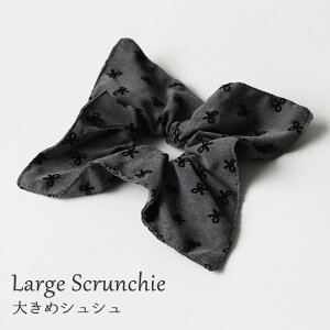 VVwASfB[Xё傫߃{twAANZT[O[VvwA|j[e͑ϋvߑl̎q̖т܂Ƃߔ؍wAAW