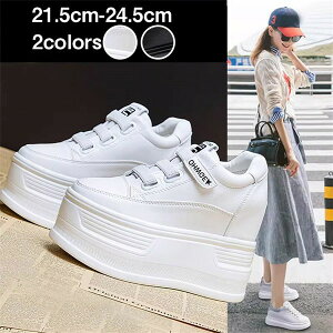 Xj[J[fB[XXj[J[12cmq[Abvrʊ؍tHJWAV[YrX|[eB[₷ʋΒʊwf[gCz7f6