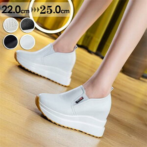 tV샌fB[XV[Y{vXj[J[Cq[yʒʋCǍDCJWArʃEFbW\[?V[Y