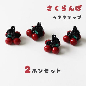 2_ZbgwANbvfB[X߃~jNbv`F[ڃwAANZT[ʏȂߔ܂Ƃߔ؍ꍂwAAWObYOуn[t