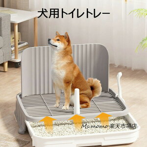 gC{̃CkgCpgChbOgCChTCYgCt`ꂵɂg[jOybgg[CkgCg[jO􂦂I[vq^^ybgPA|