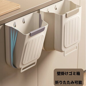 Lb`܂肽ݎS~ƒ˒IS~[ȂɌaS~