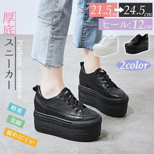 1�ʊl�����N�у^�C�v�������X�j�[�J�[���f�B�[�X12cm10cm�C���q�[�����[�X�A�b�v�y�ʒg�����~�p���r���ʃX�^�C���A�b�v�V���[�Y�����J�W���A���ʋΒʊw�h������C�z���C�g�u���b�N21.5�`